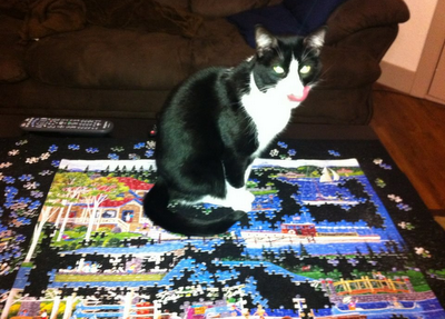 puzzlin